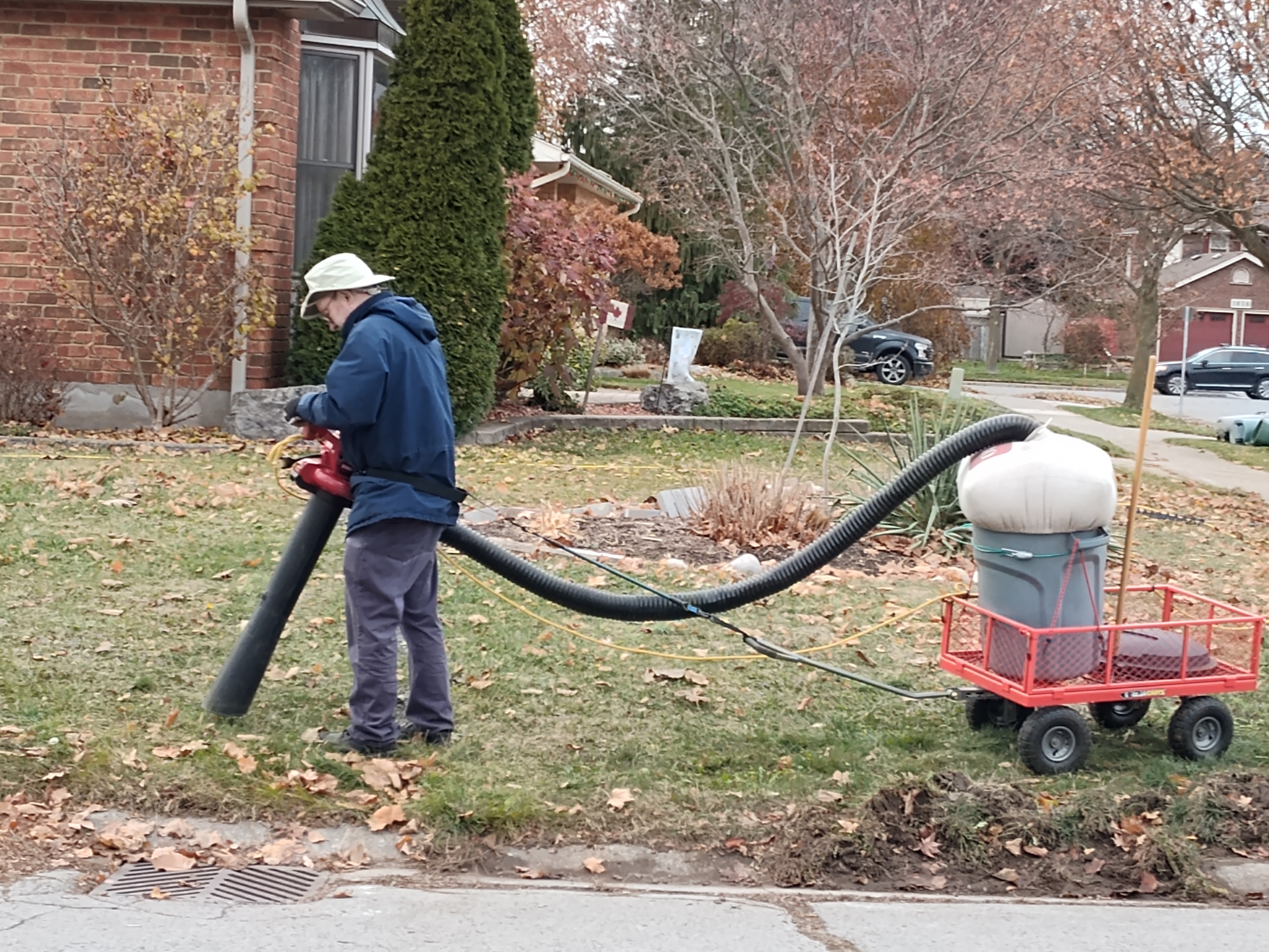 Ted's Leaf Sucker Apparatus